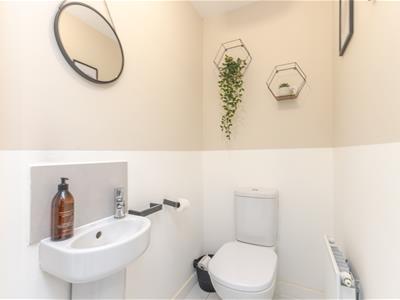 Picture 29